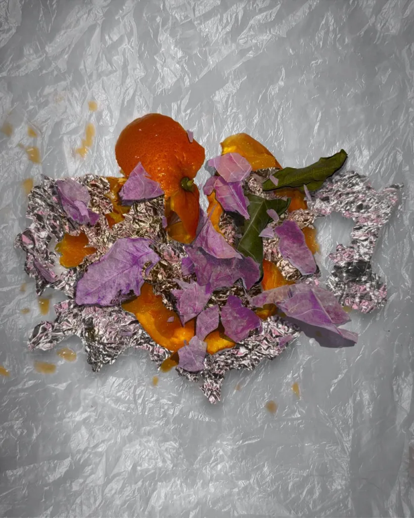 Composition avec des pelures d'orange, feuilles et pétales sechés,